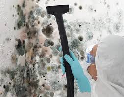 Best Mold Damage Restoration  in Vineyard, CA